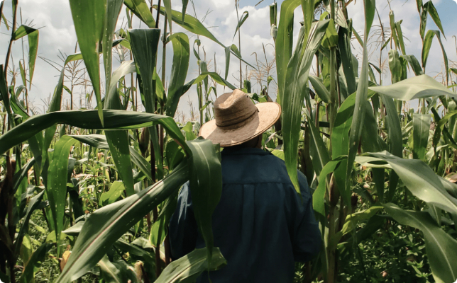 How to choose a Certification Body that’s right for you 