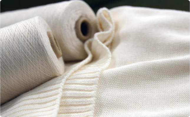 Auditor cum Reviewer – Sustainability Certifications