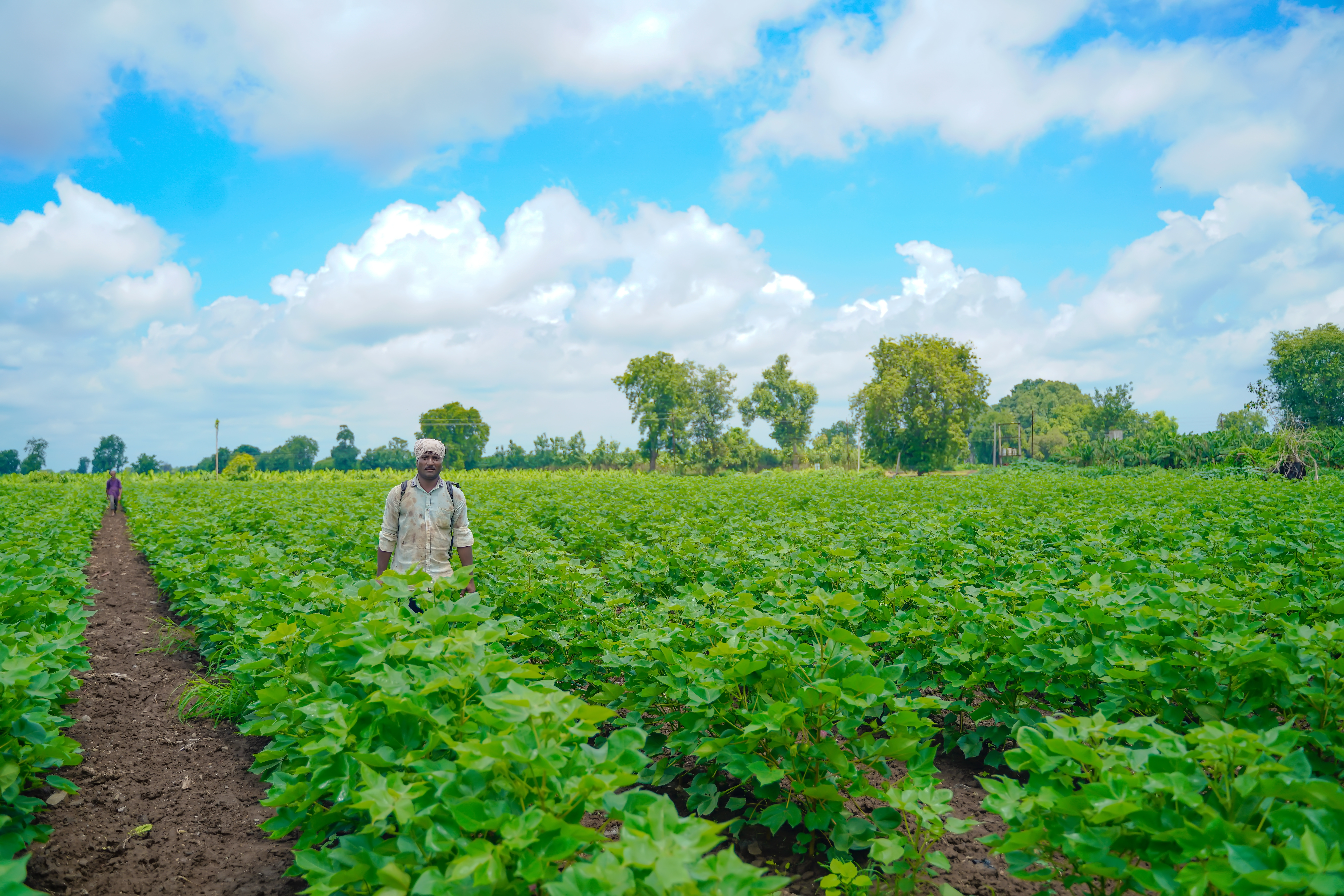 OCS organic cotton