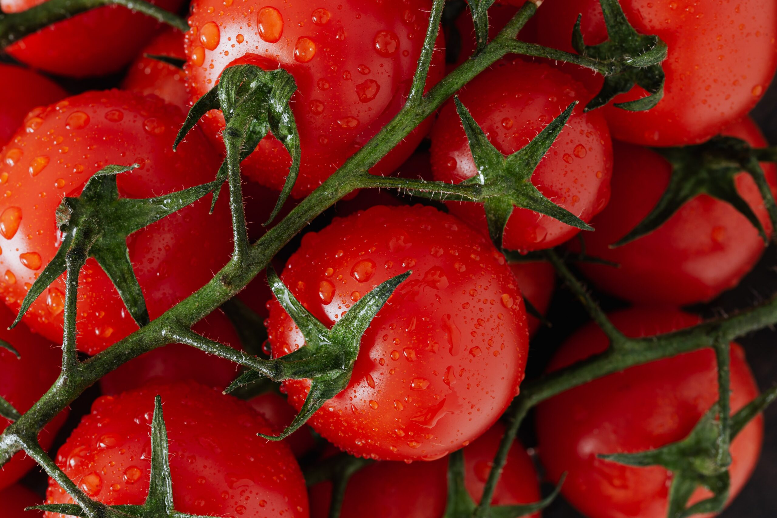 EU organic Germany