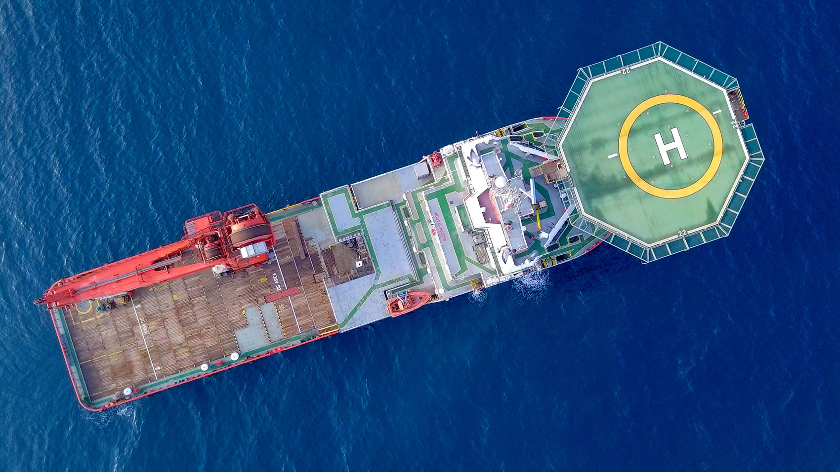 Auditor – Animal Welfare