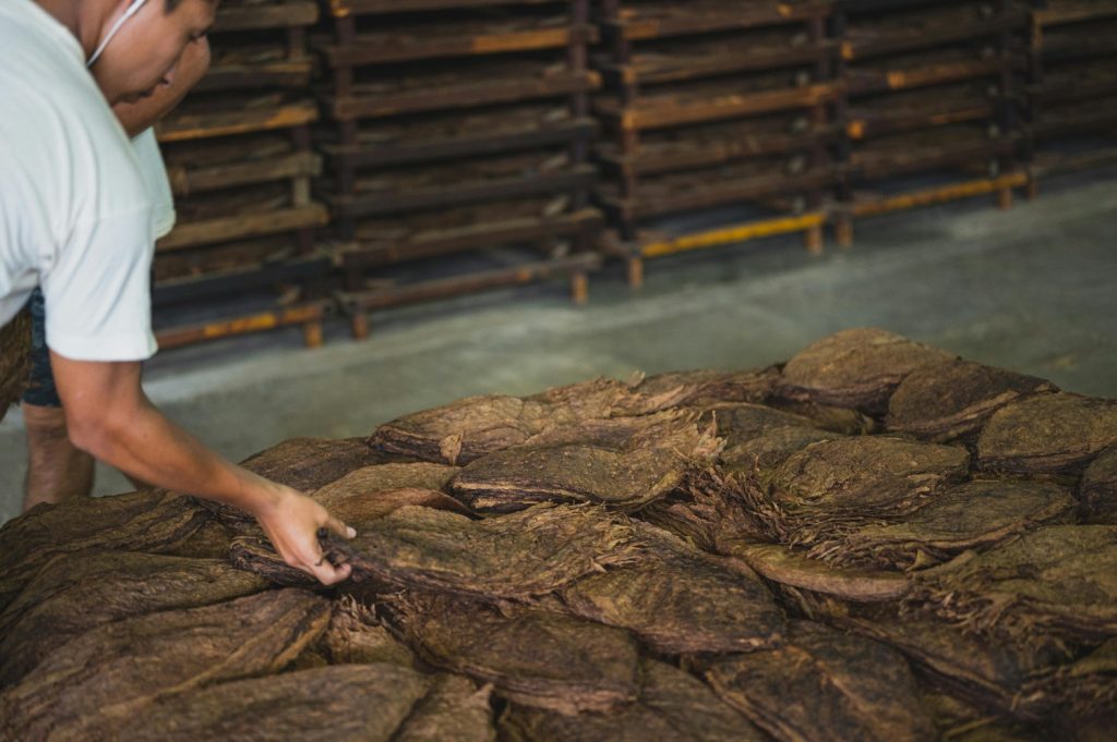 Tobacco commodity - Control Union Pest Management