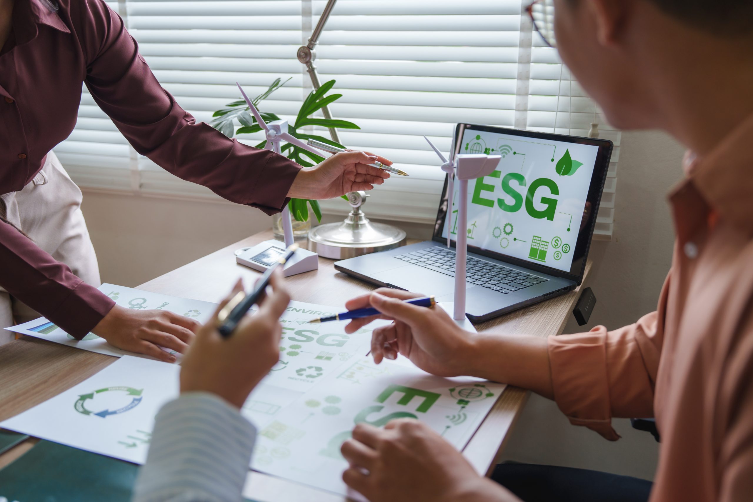 ESG Verification